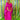 Sparkles Tinsel Hair Maxi Kaftan Party Dress Pink