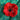 Bejewelled Remembrance Day Poppies 2021 - PRE ORDER NOW OPEN