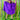 Sparkles Tinsel Hair Mini Kaftan Party Dress Purple
