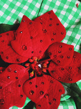 Load image into Gallery viewer, Red Jewelled Poinsettia Brooch *Order before 18th for Christmas post*
