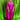 Cerise Holographic Sequin Mesh High neck Kaftan Gown
