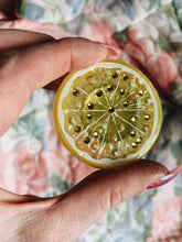 Load image into Gallery viewer, Iced Lemon Bejewelled Bling Brooch
