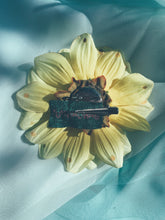 Load image into Gallery viewer, Yellow and Gold chrysanthemum Bejewelled Brooch and Hair Clip
